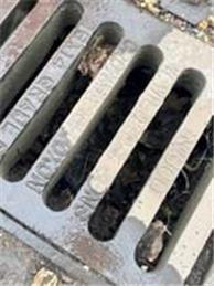 Drainage Latest